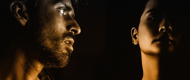 5. The Fascinating Overview of Bromeliad Flowers